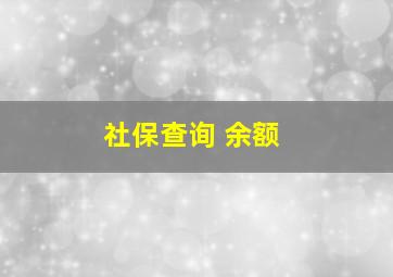 社保查询 余额